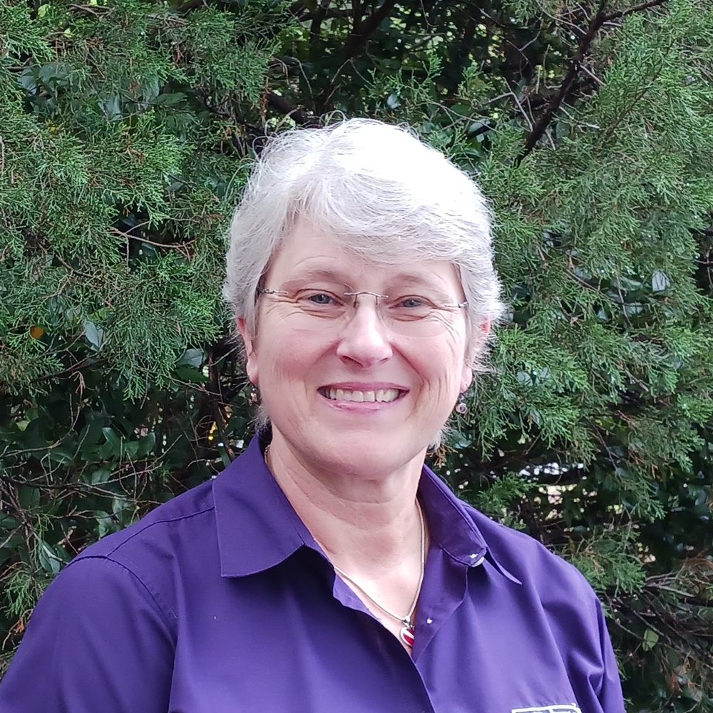 Dana M. Frentz, CHPA, PSP